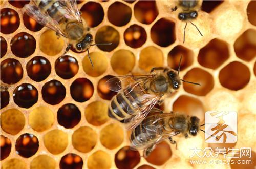 蜂胶保质期多长时间呢