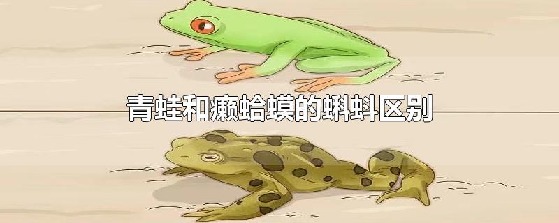 青蛙和癞蛤蟆的蝌蚪区别