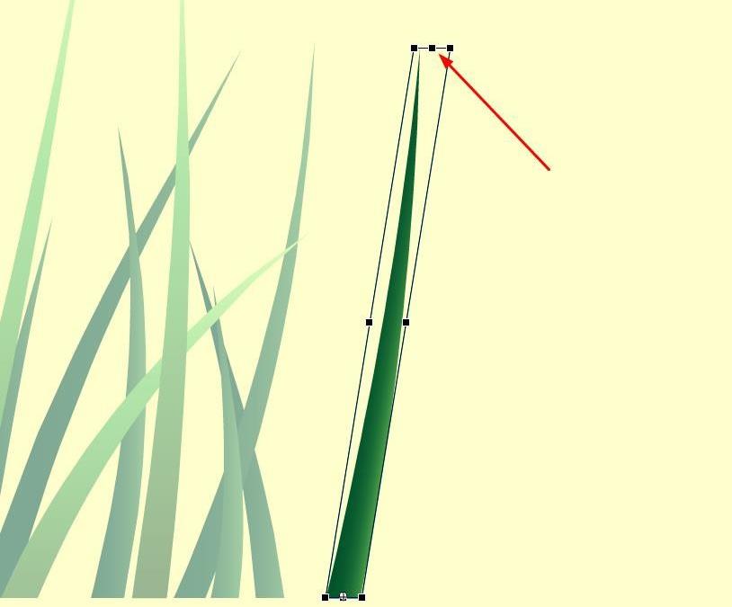 flash怎么实现小草被风吹动的动画? flash风吹草动的制作方法