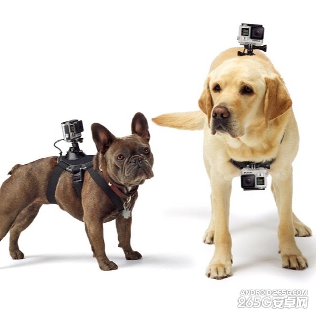 小蚁运动相机配件竟可以和GoPro互换