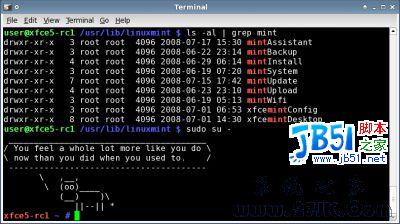 Linux Mint 5 XFCE Community Edition RC1 (BETA 025) 本月17日开始发布