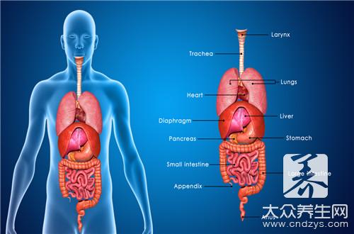 胆囊切除对肝脏的影响