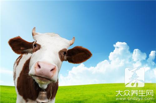 奶牛瘤胃胀气食管阻塞怎么治疗？