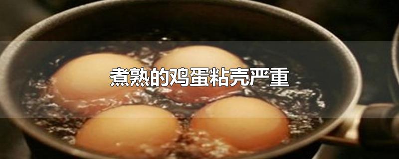 煮熟的鸡蛋粘壳严重