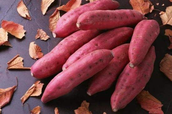 发芽的红薯能吃吗有毒吗