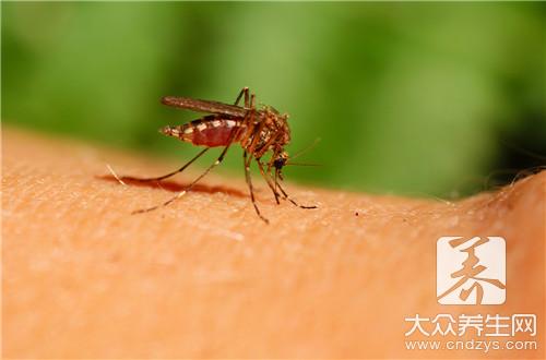 夏季灭蚊这些方法最值得推荐，天然健康又有效！
