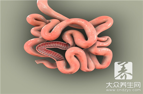 肠镜显示肠道红血丝