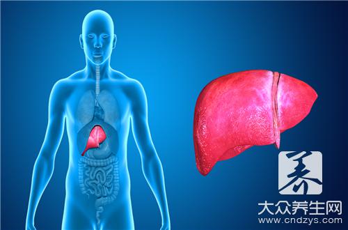 肝脏的生理功能有哪些