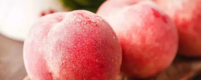 水蜜桃可以放冰箱储存吗