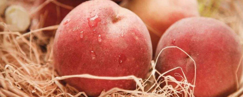 桃子里面的胶状物能吃吗