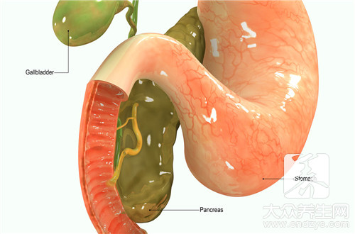  脾与胰腺的关系