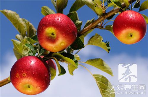 苹果怎么挑选好吃_什么品种的苹果最好吃