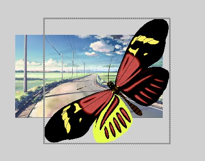 教你利用flash引导线制作飞舞的蝴蝶