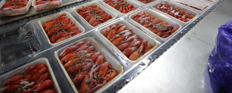 龙虾怎么保存才新鲜冰箱里