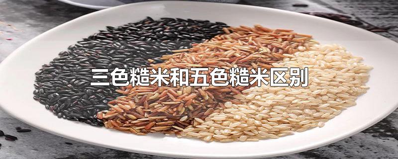 三色糙米和五色糙米区别
