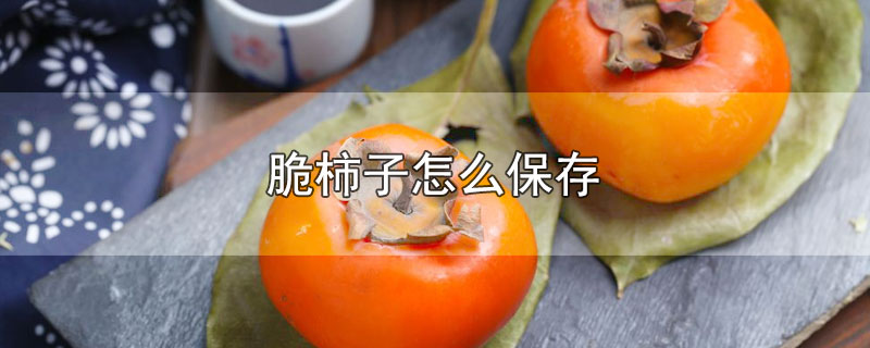 脆柿子怎么保存