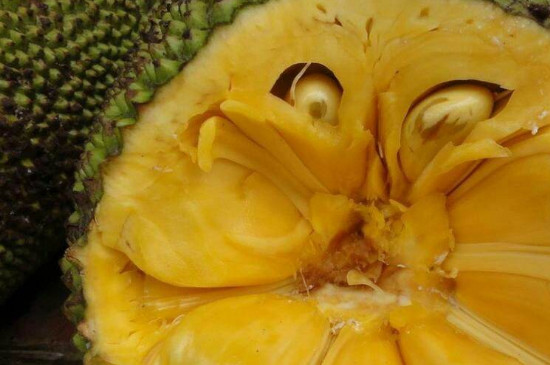 吃菠萝蜜的正确吃法