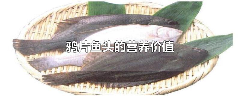 鸦片鱼头的营养价值