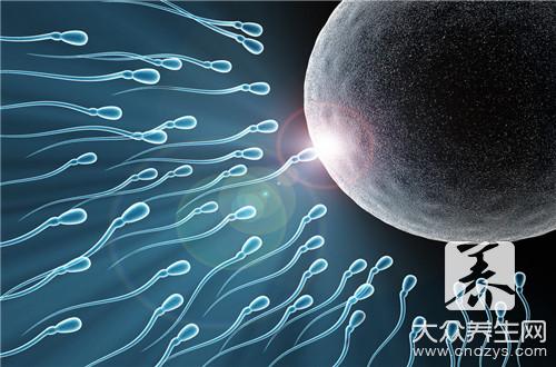 精子和卵子结合有什么感觉