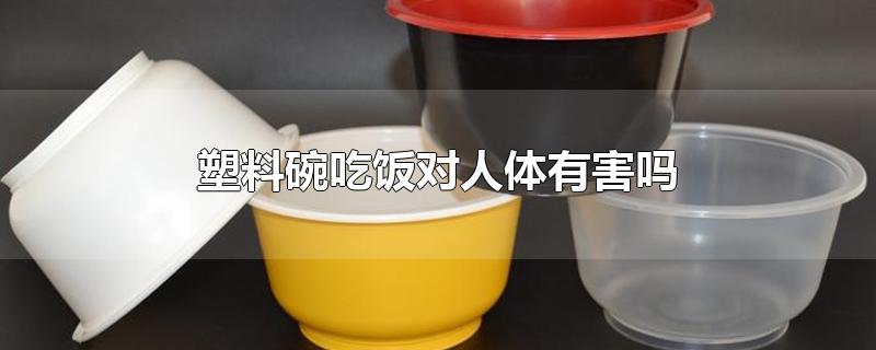 塑料碗吃饭对人体有害吗