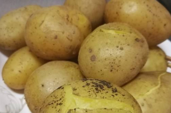土豆怎么保存不发芽不发绿