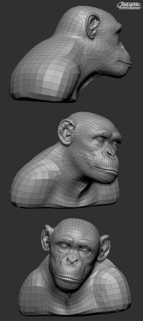 3Ds Max制作逼真的黑猩猩的雕刻模型教程