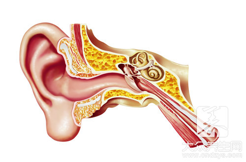 耳廓结节是癌症的前兆