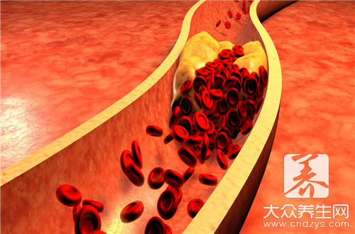 血红蛋白结构