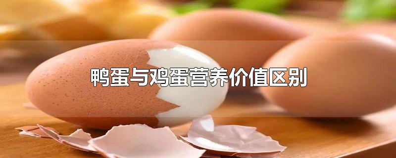 鸭蛋与鸡蛋营养价值区别