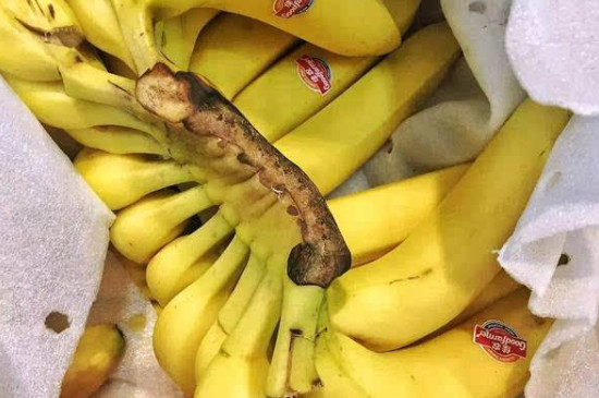 香蕉能不能放冰箱里保存?