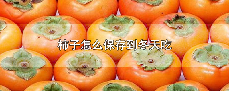 柿子怎么保存到冬天吃