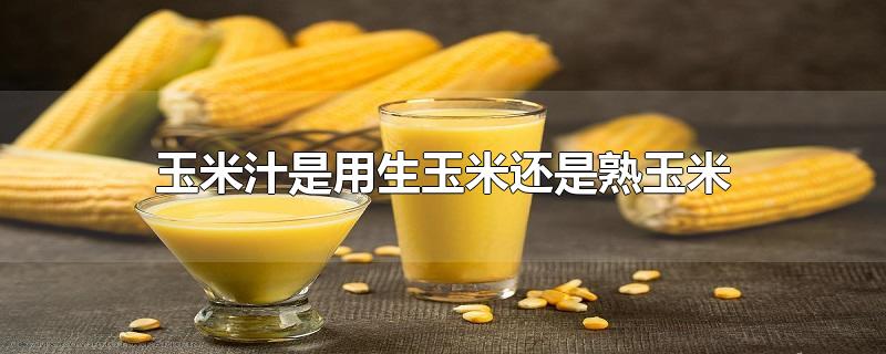 玉米汁是用生玉米还是熟玉米