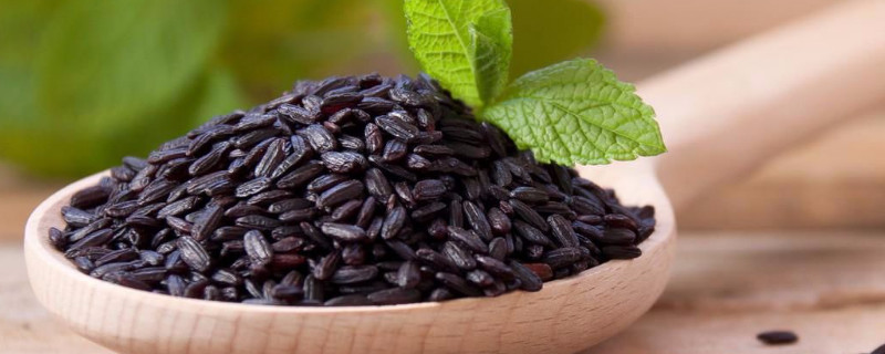 黑芝麻黑豆黑米的功效与作用及食用方法