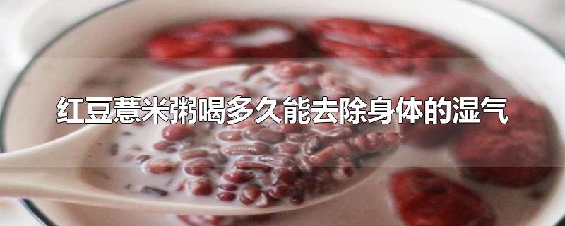 红豆薏米粥喝多久能去除身体的湿气
