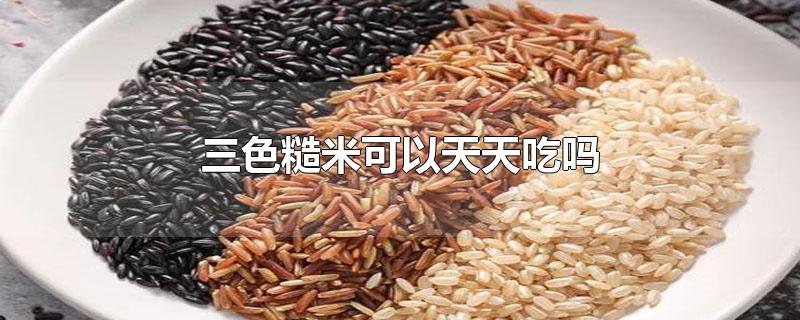 三色糙米可以天天吃吗
