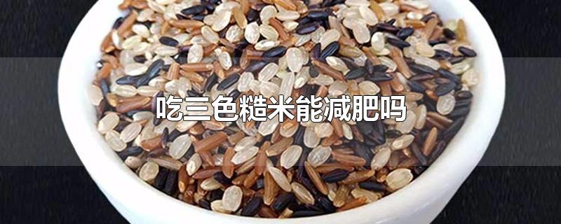 吃三色糙米能减肥吗