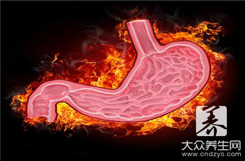 脾胃是人体的哪个部位