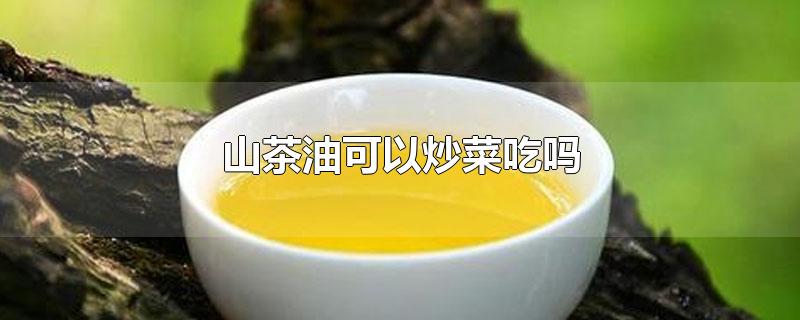 山茶油可以炒菜吃吗