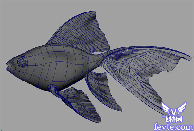 Maya教程 制作鱼的模型全过程
