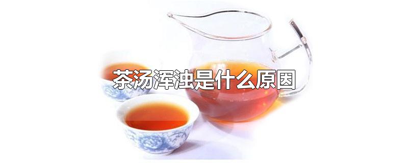 茶汤浑浊是什么原因