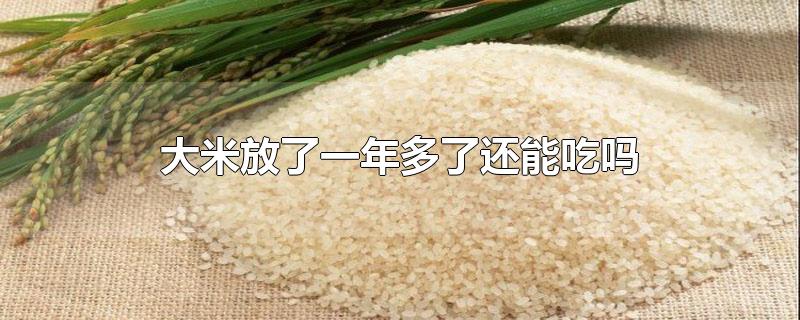 大米放了一年多了还能吃吗