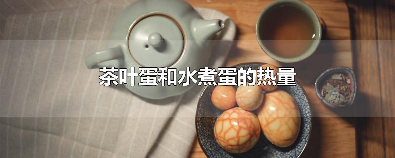 茶叶蛋和水煮蛋的热量