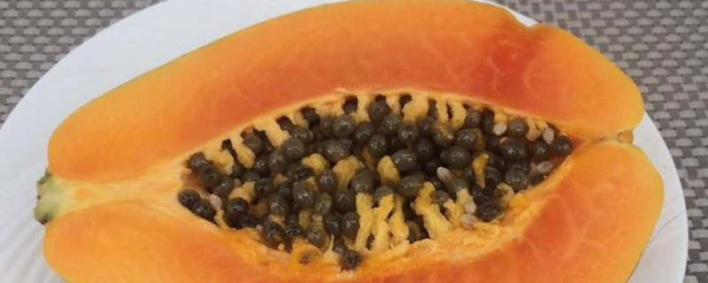 木瓜里的黑色籽能吃吗