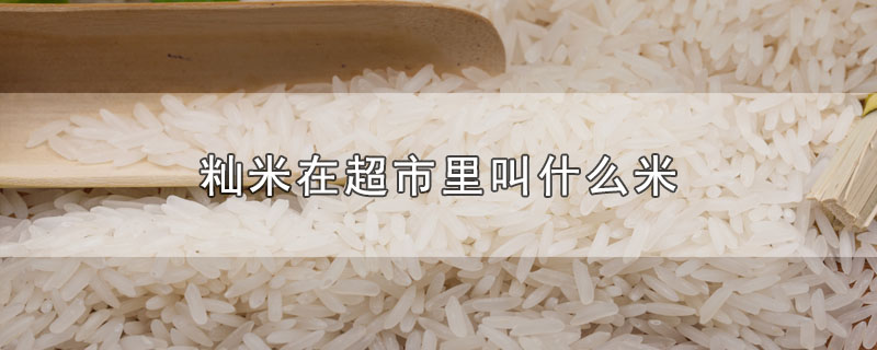 籼米在超市里叫什么米