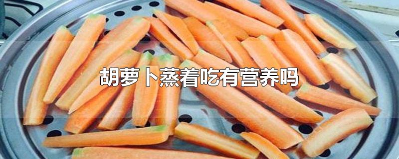 胡萝卜蒸着吃有营养吗