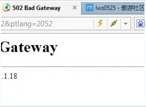 502 bad gateway是什么意思？502 bad gateway错误解决办法