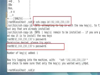 linux怎么配置秘钥连接两台虚拟机?