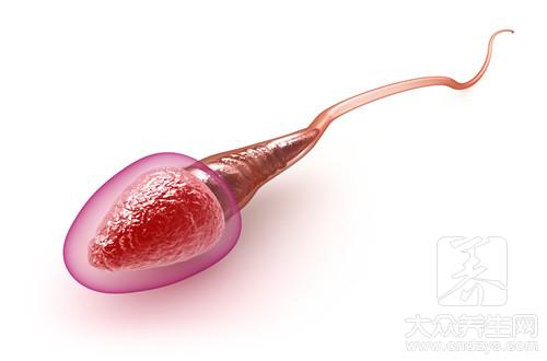 精子少吃什么药能生精