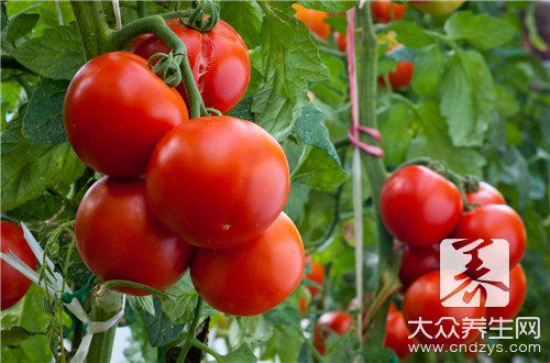 西红柿生吃还是熟吃好？怎么吃才更有营养？一文搞清