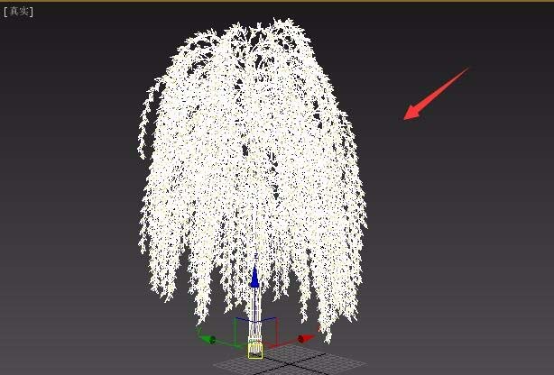 3dmax怎么创建三维立体的柳树?
